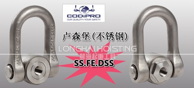 SS.FE.DSS不銹鋼吊環