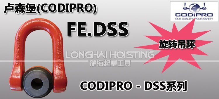 盧森堡FE.DSS旋轉吊環