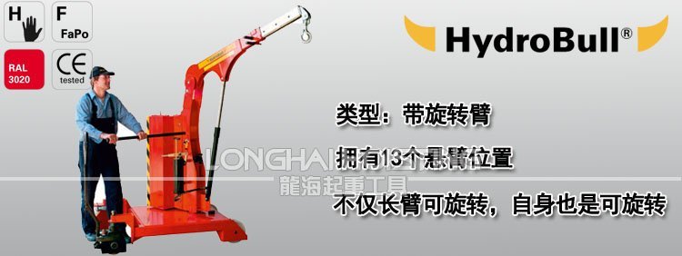 德國帶旋轉臂工業(yè)液壓小吊車