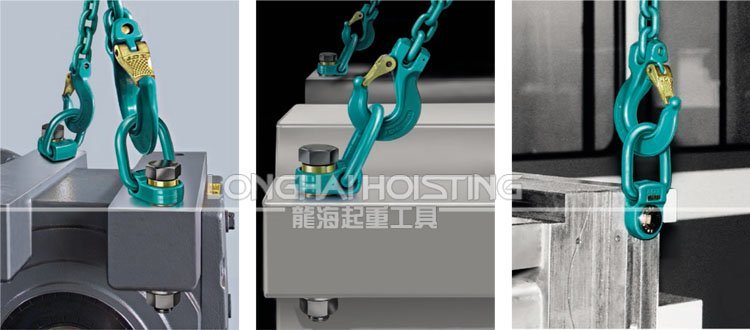 德國JDT側向旋轉吊環應用